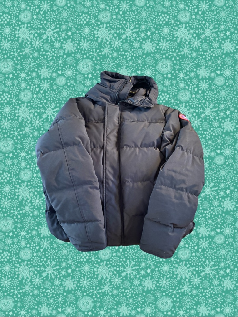 Canada Goose Black Puffer Jacket with Hood